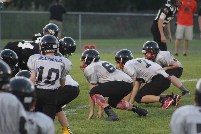 在历史上的 在历史上的